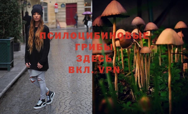 меф Вяземский